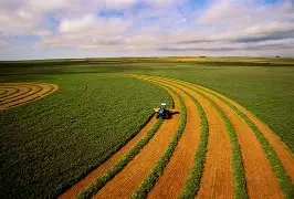 Image result for agriculture